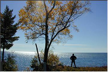 Sunny Autumn Superior