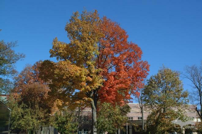 Photo by Jonathan Hopper