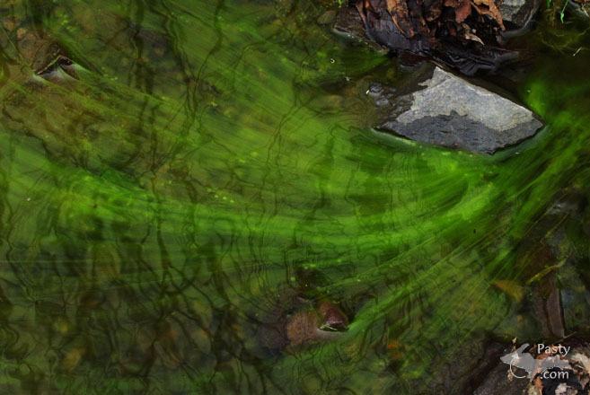 photo by Dan Urbanski