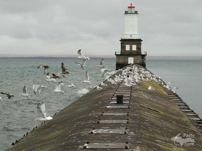 photos by Peg Riemer