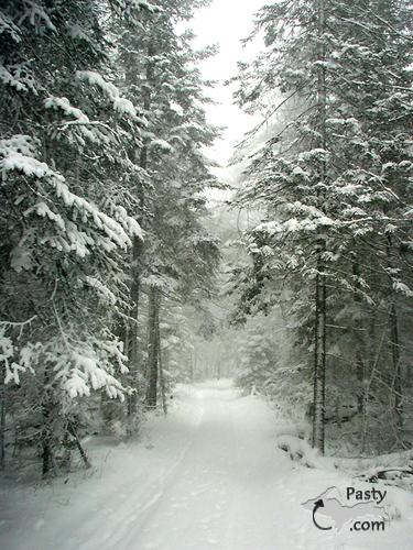 Photos by Doug Smith