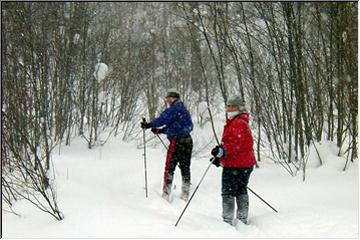 Snow covered and skiing
