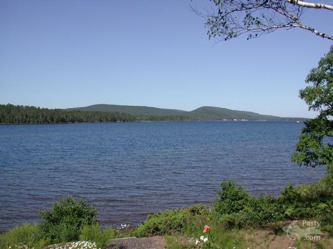 Photo by Sharon Smith