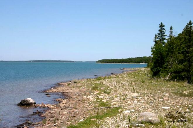 Photos by Daryl Laitila