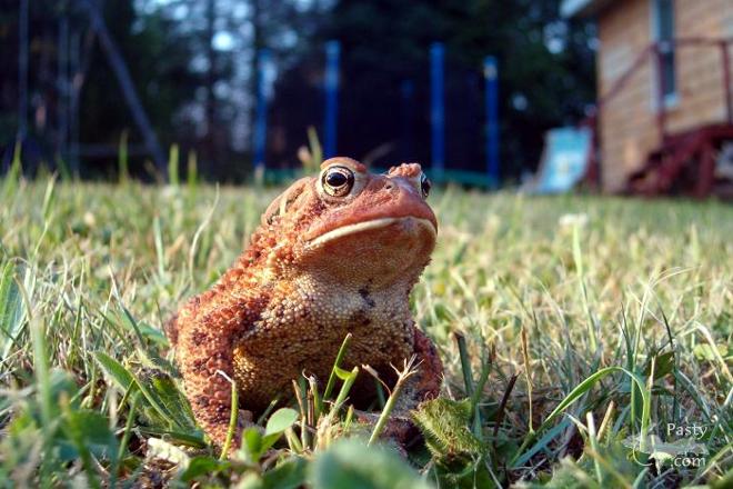 Photo by Ashley Byykkonen