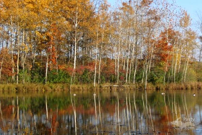 Photos by Tim Minich