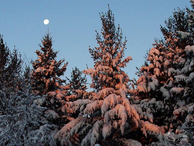 Photo by Roger Kangas