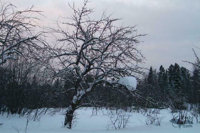 Photos by Ashley Byykkonen