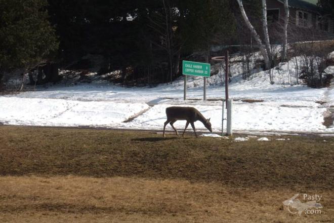 Photos by Tanya Voldarski