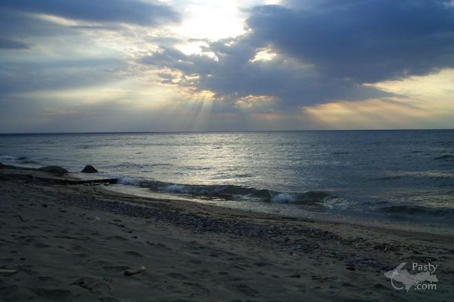 Photo by Michele Maatta