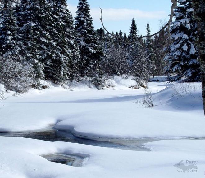 Photo by Roger Kangas