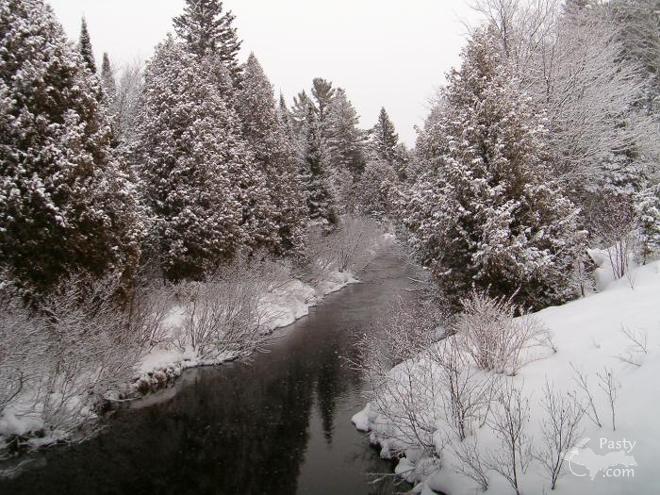 Photo by Judy Byykkonen