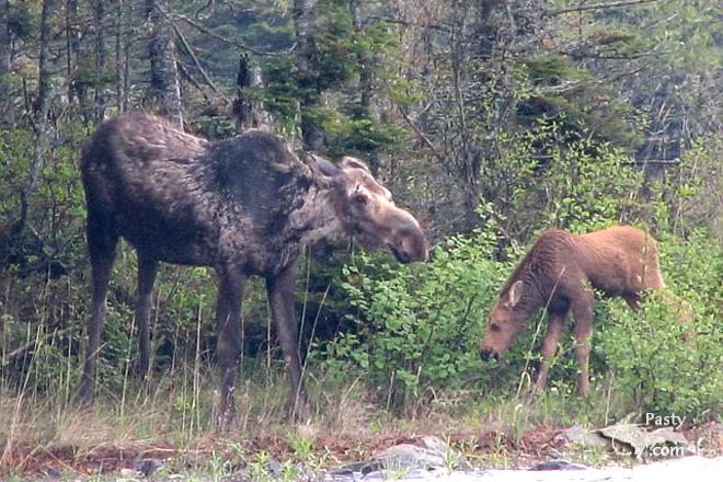 Photos by Kevin Henriksen