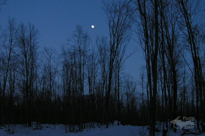 Photos by Joyce Tormala