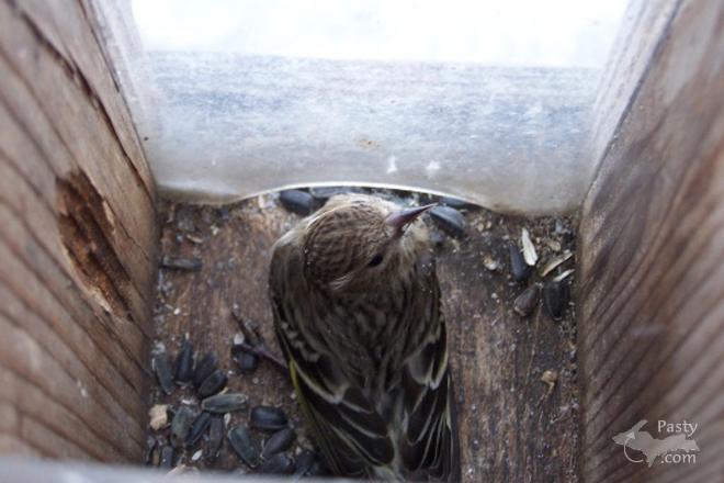 Photo by Brenda Leigh