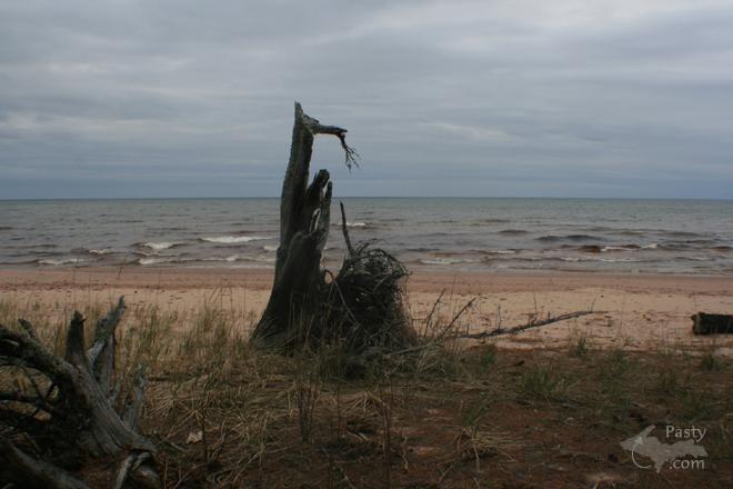 Photos by Paul Roberts