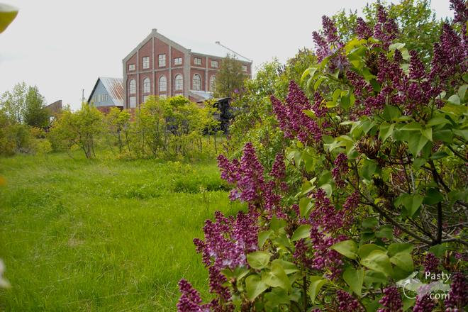 Photo by Susan Hooker