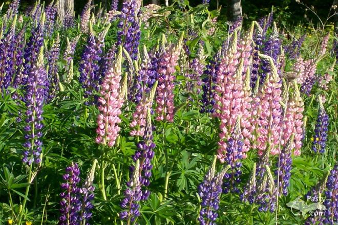 Photos by Barb Bouwkamp