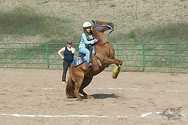 Photos by Paul Perreault