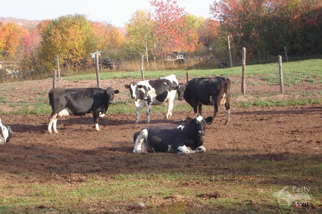 Photos by Vanessa Gronewald