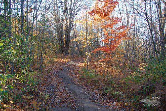 Photo by Brita Haapala