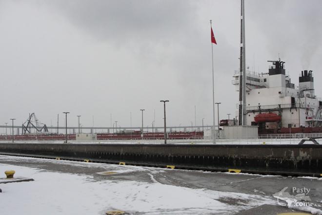 Photos by Lynn Virtanen