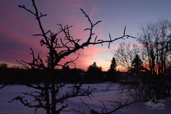 Photos by Brita Haapala