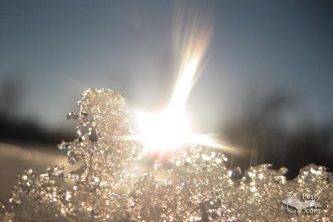 Photos by Donna MacIntosh