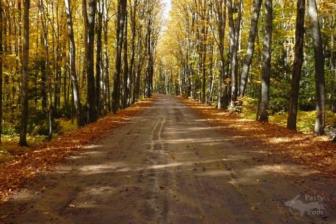 Photos by Joyce Tormala