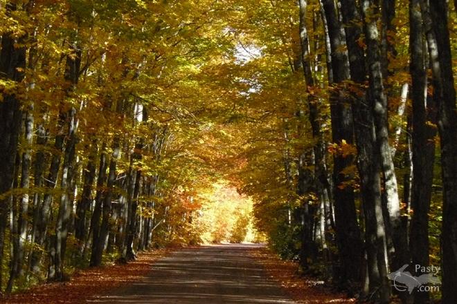 Photos by Joyce Tormala