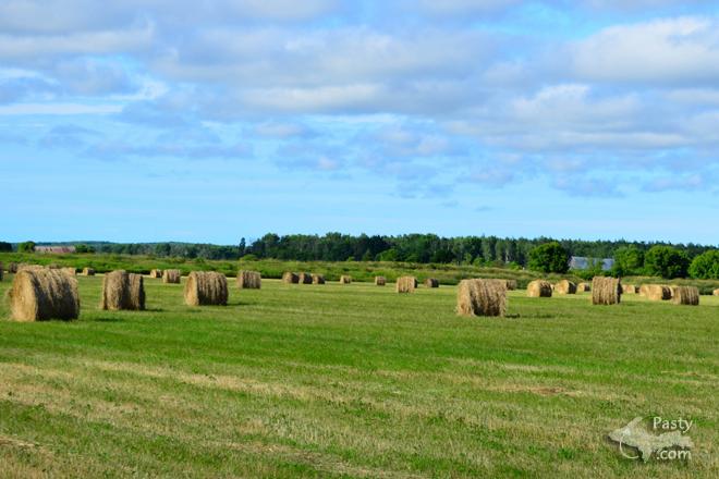 Photos by Connie Mandoli