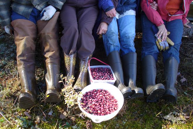 Photos by Brenda Leigh