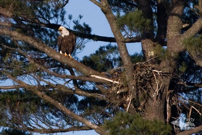 Photos by Frederic W. Koski