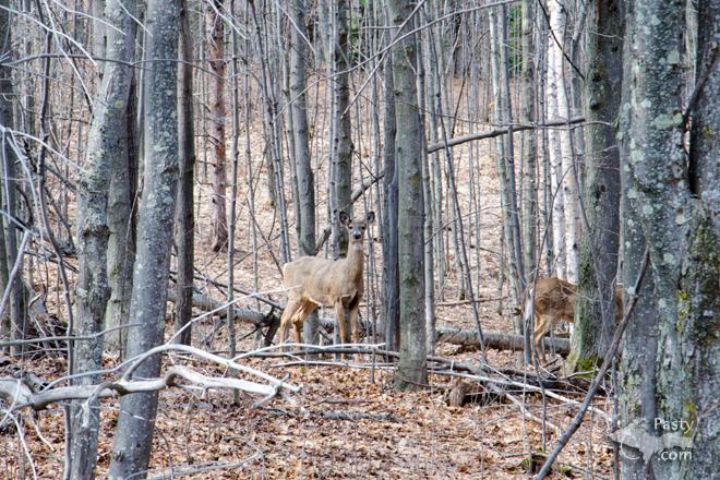 Photos by Mike Schneider