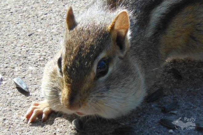 Photo by Donna MacIntosh