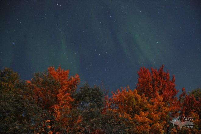 Photo by Bob Gilreath