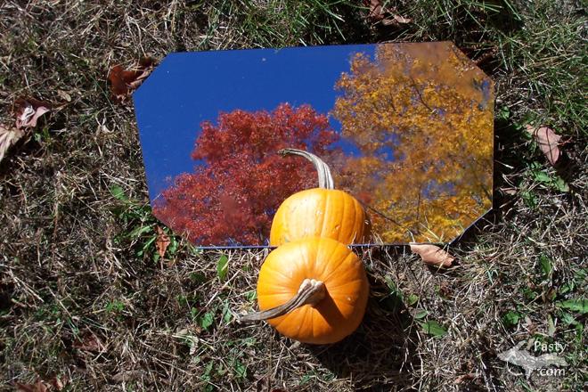 Photo by Brenda Leigh 