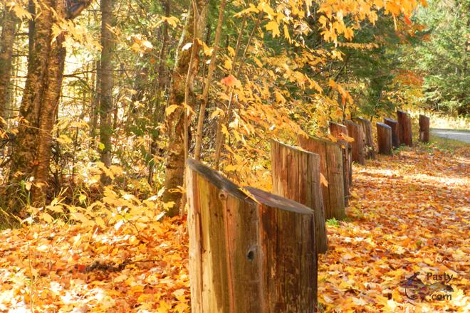 Photos by Marilyn Bachorik