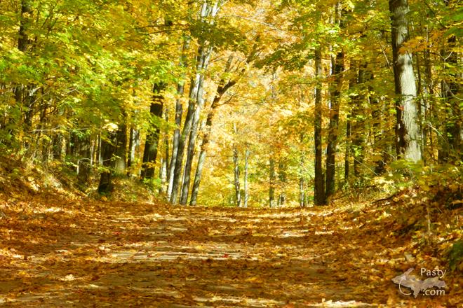 Photos by Marilyn Bachorik