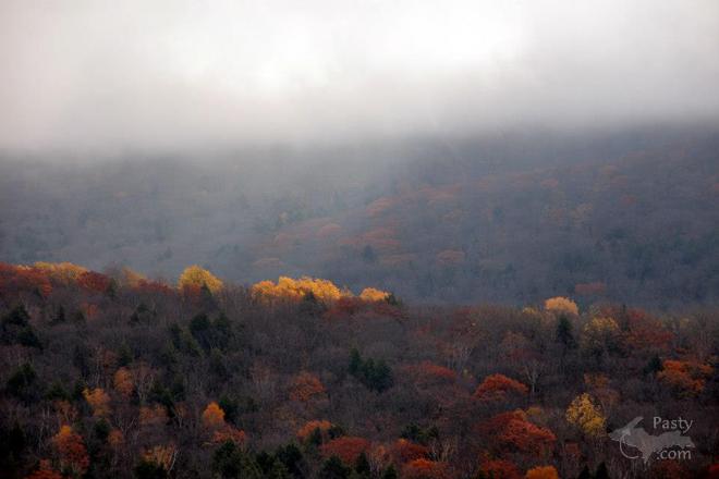 Photos by Bob Gilreath