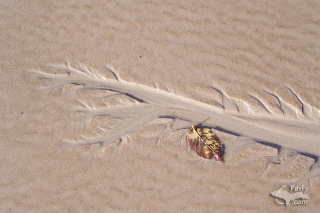 Photos by Brenda Leigh