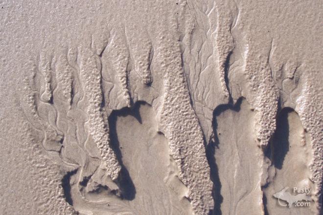 Photos by Brenda Leigh