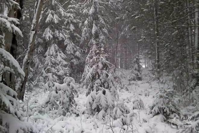 Photos by Lindsay White