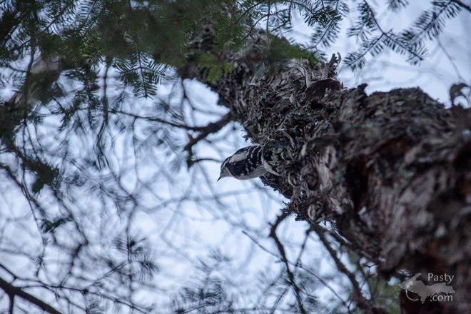 Photos by Mike Schneider