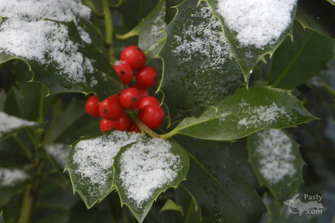 Photos by Marilynn Bachorik