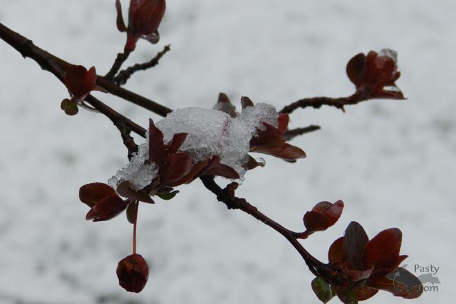 Photos by Marilynn Bachorik