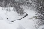 Snowy river