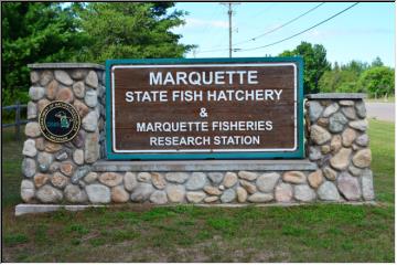 Visiting the fish hatchery