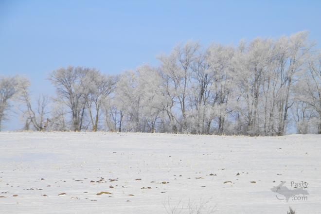 Photos by Deb Simons