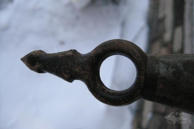 Photos by Emma Stout